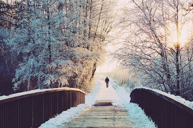 Walking for Cardio-your heart will love you